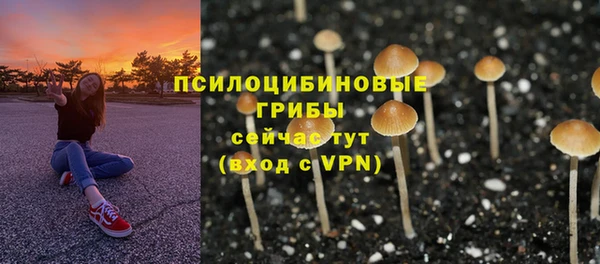 mdpv Киренск